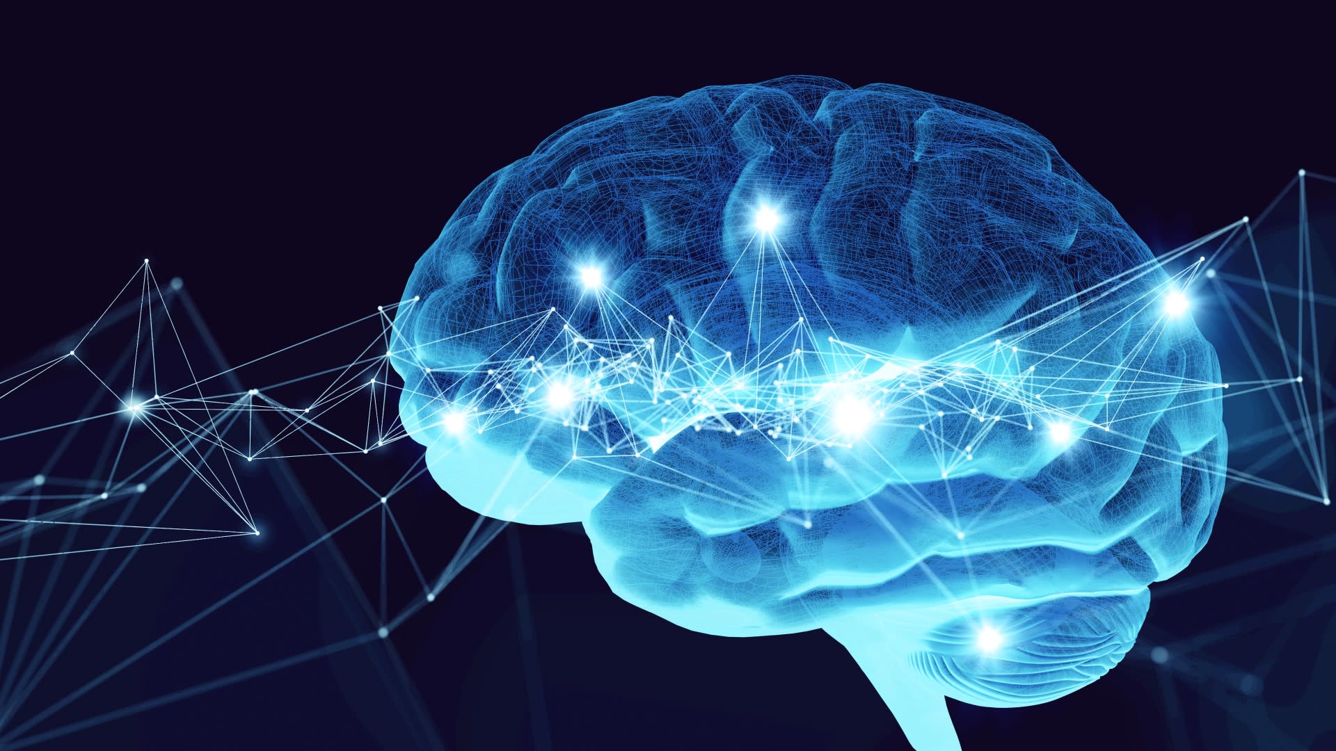 Lidský mozek a paměť