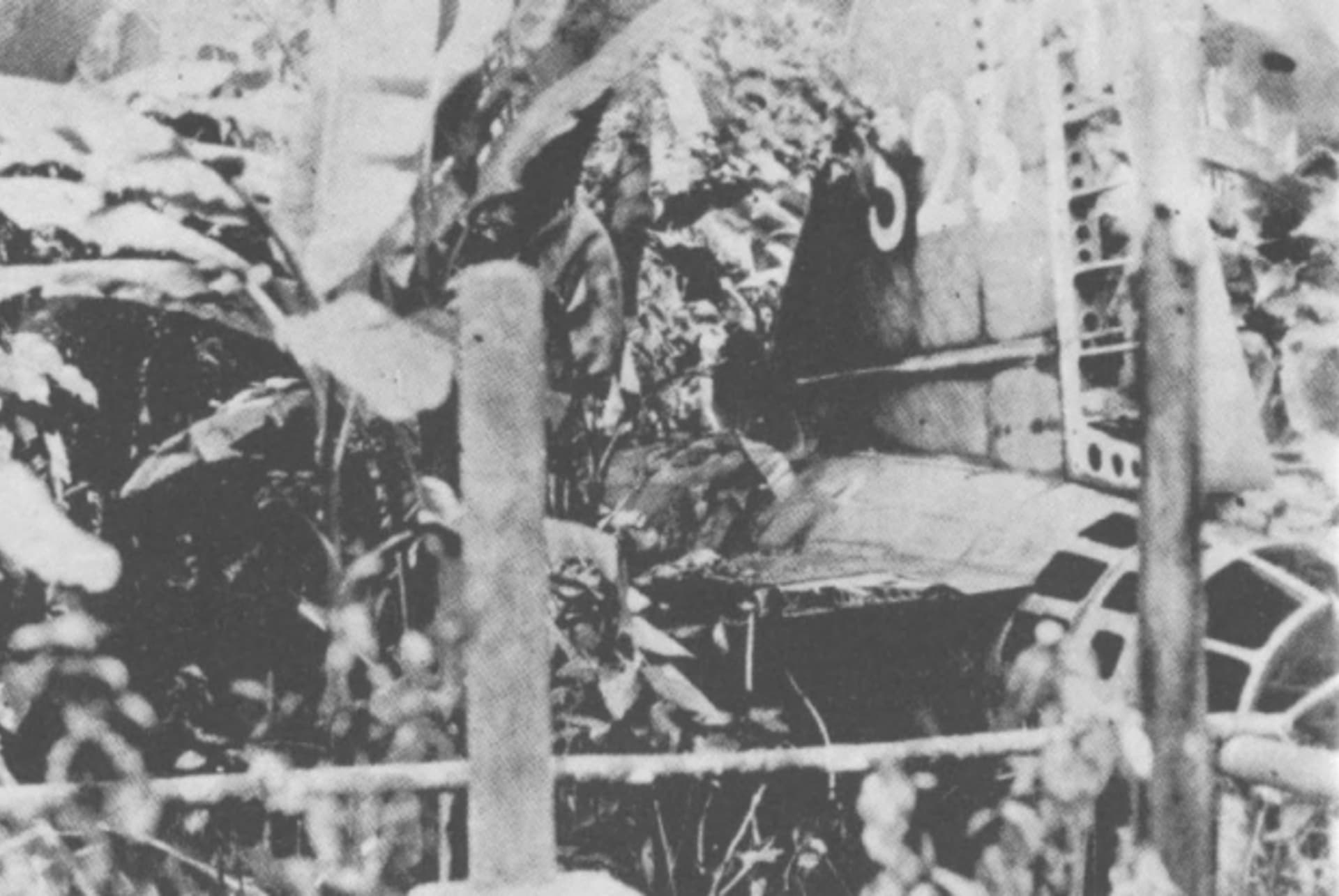 Jamamotovo letadlo leží sestřelené v džungli