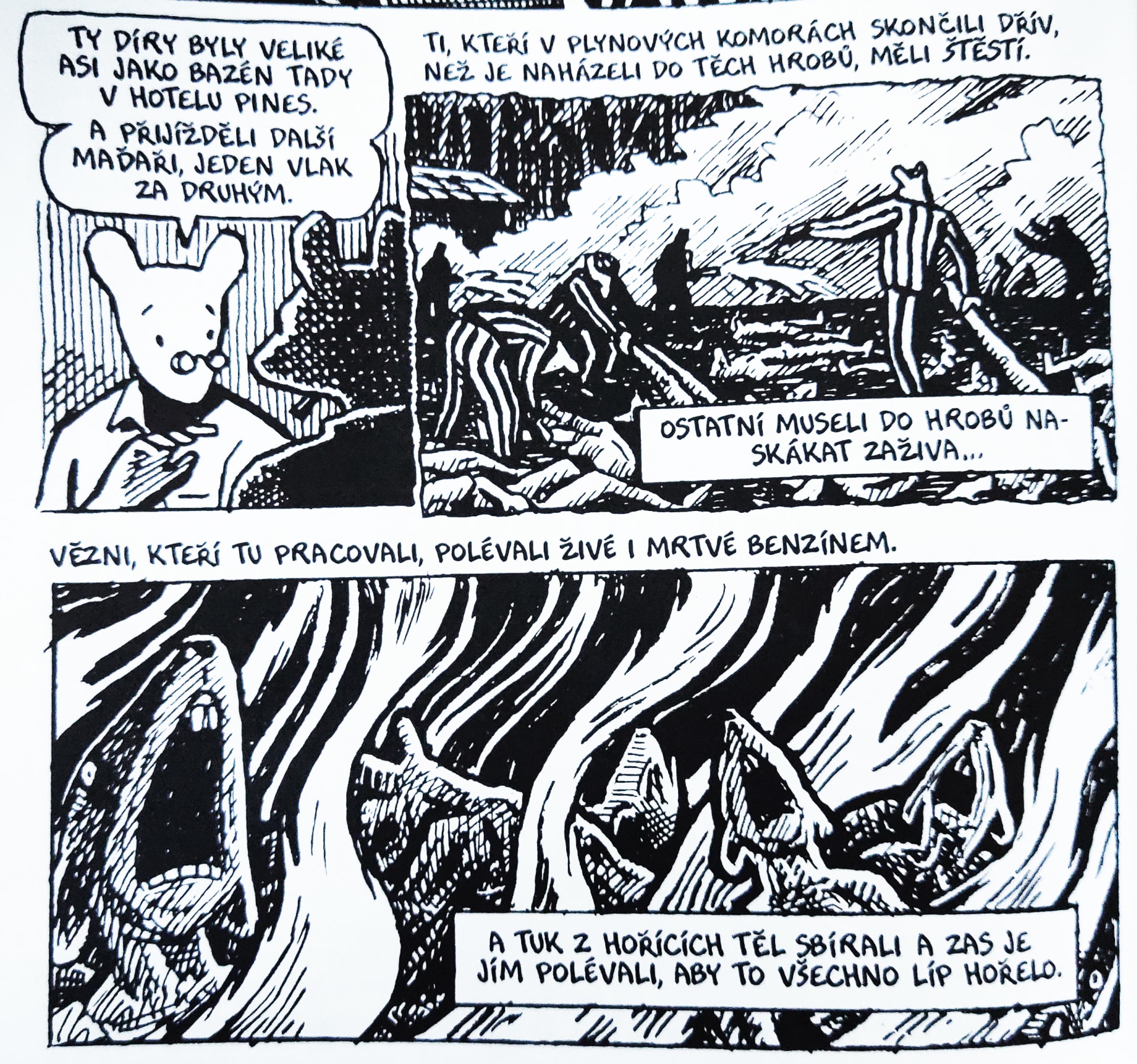 Obraz z komiksového románu Maus II