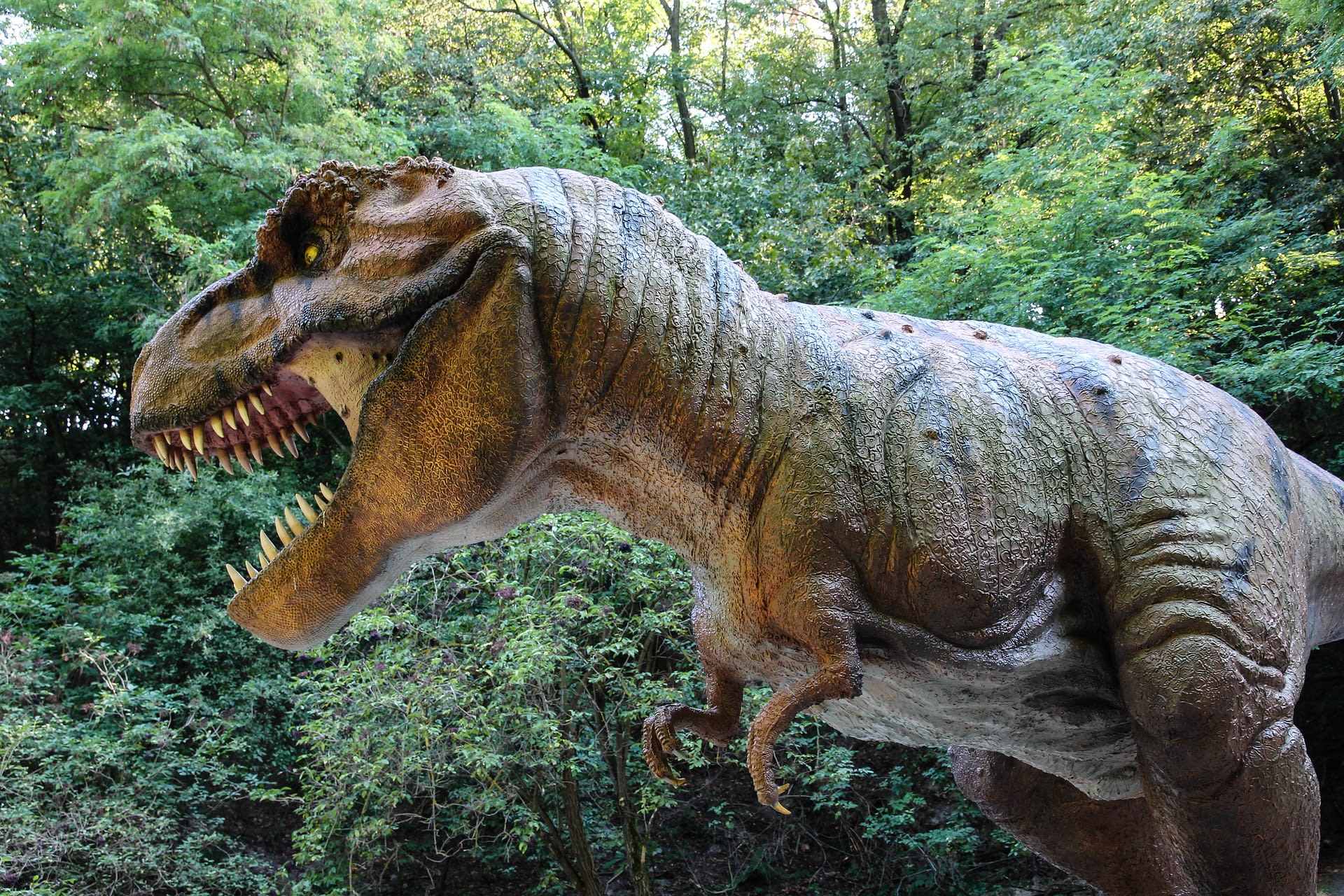 Čumák tyranosaura byl mohutný, leč citlivý.