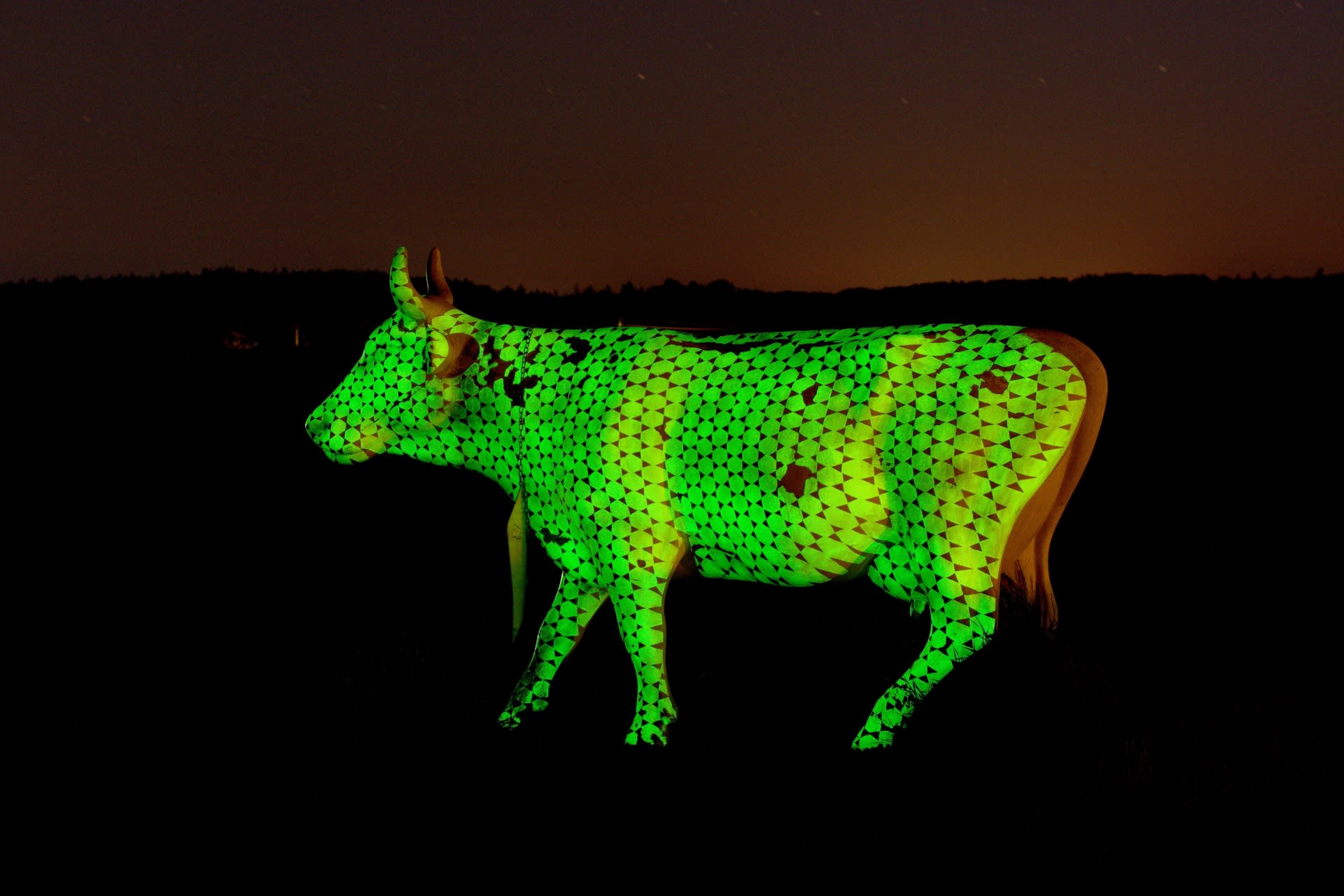 Svítící kráva u Mohelna