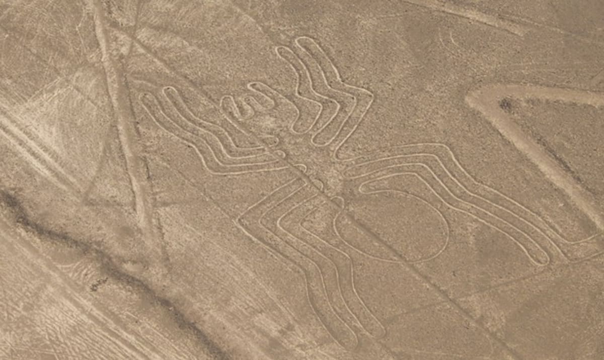 Pavouk na planině Nazca