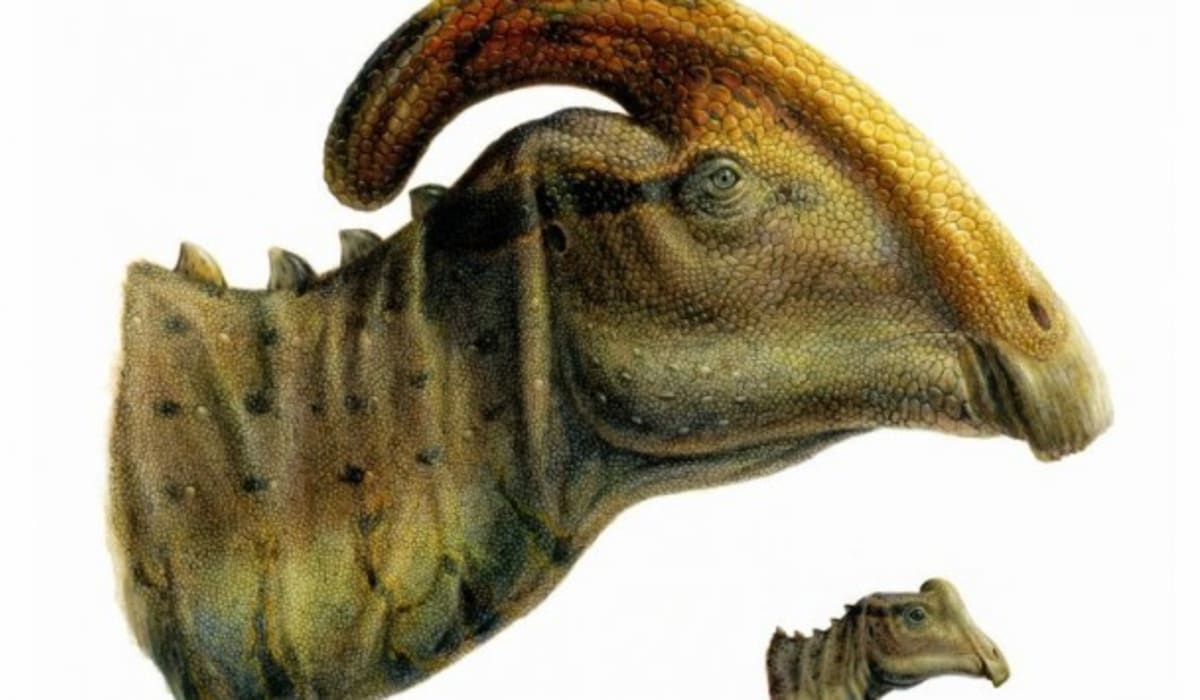 Dinosauří mládě