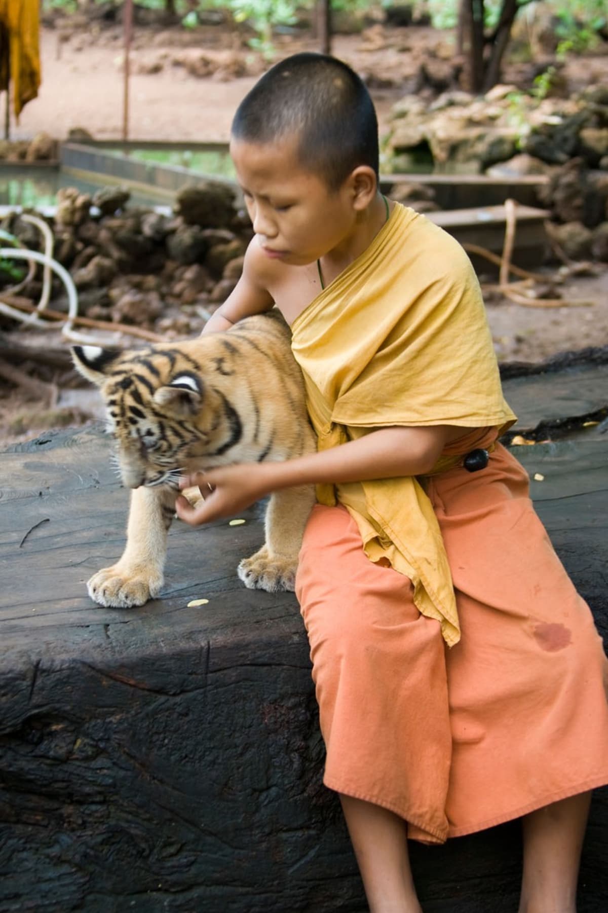 Tygří chrám v Thajsku - Obrázek 2