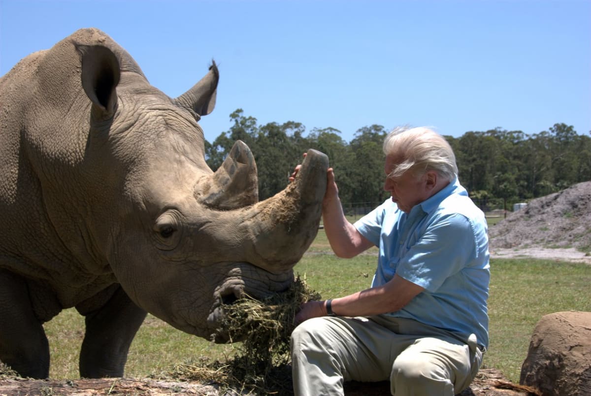 David Attenborough, Počátky života