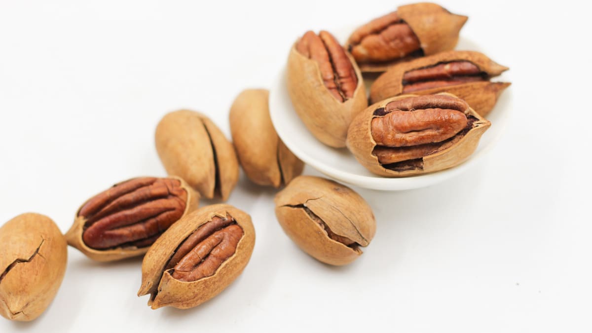 Semena, která neznáte - pekanové ořechy