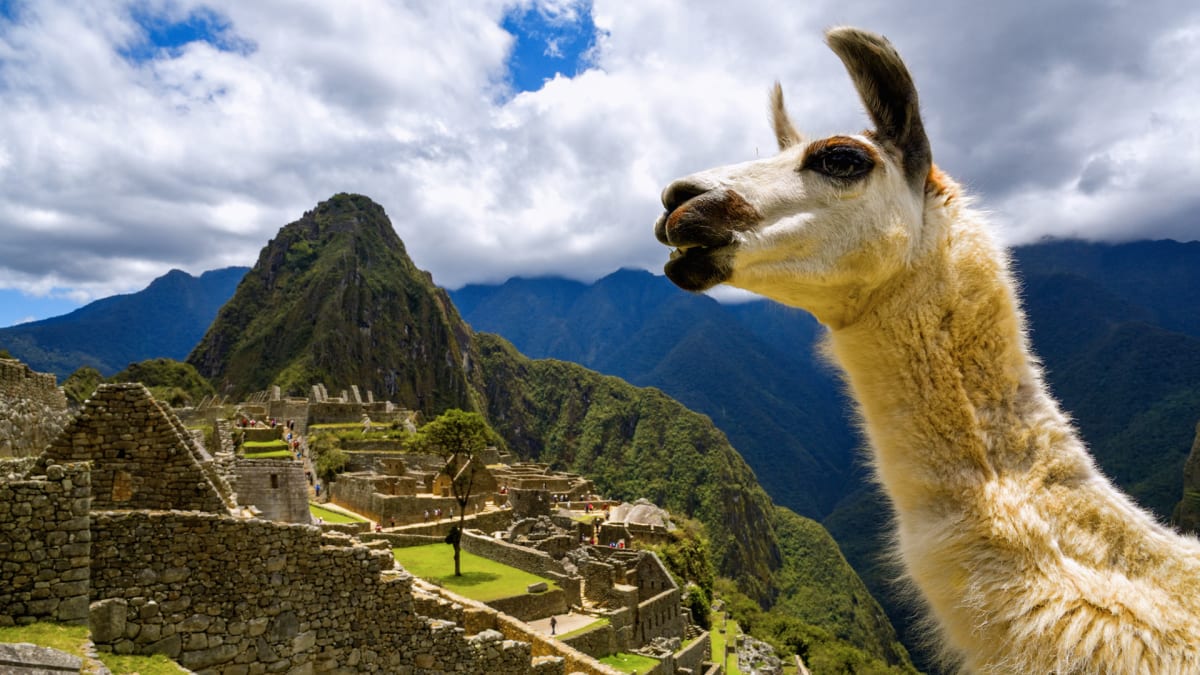 Machu Picchu, pokud není v obležení turistů