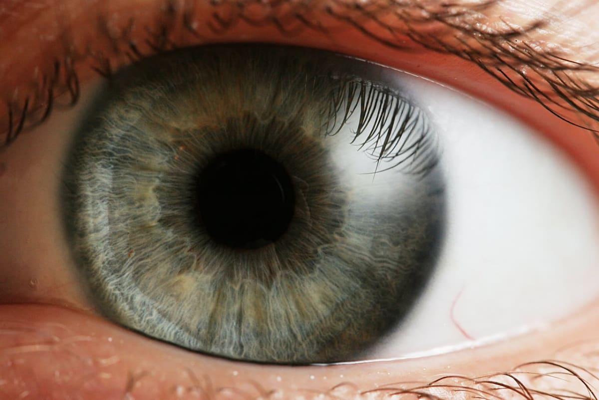 oko do duše okno - je tohle oko tetrachromatické?