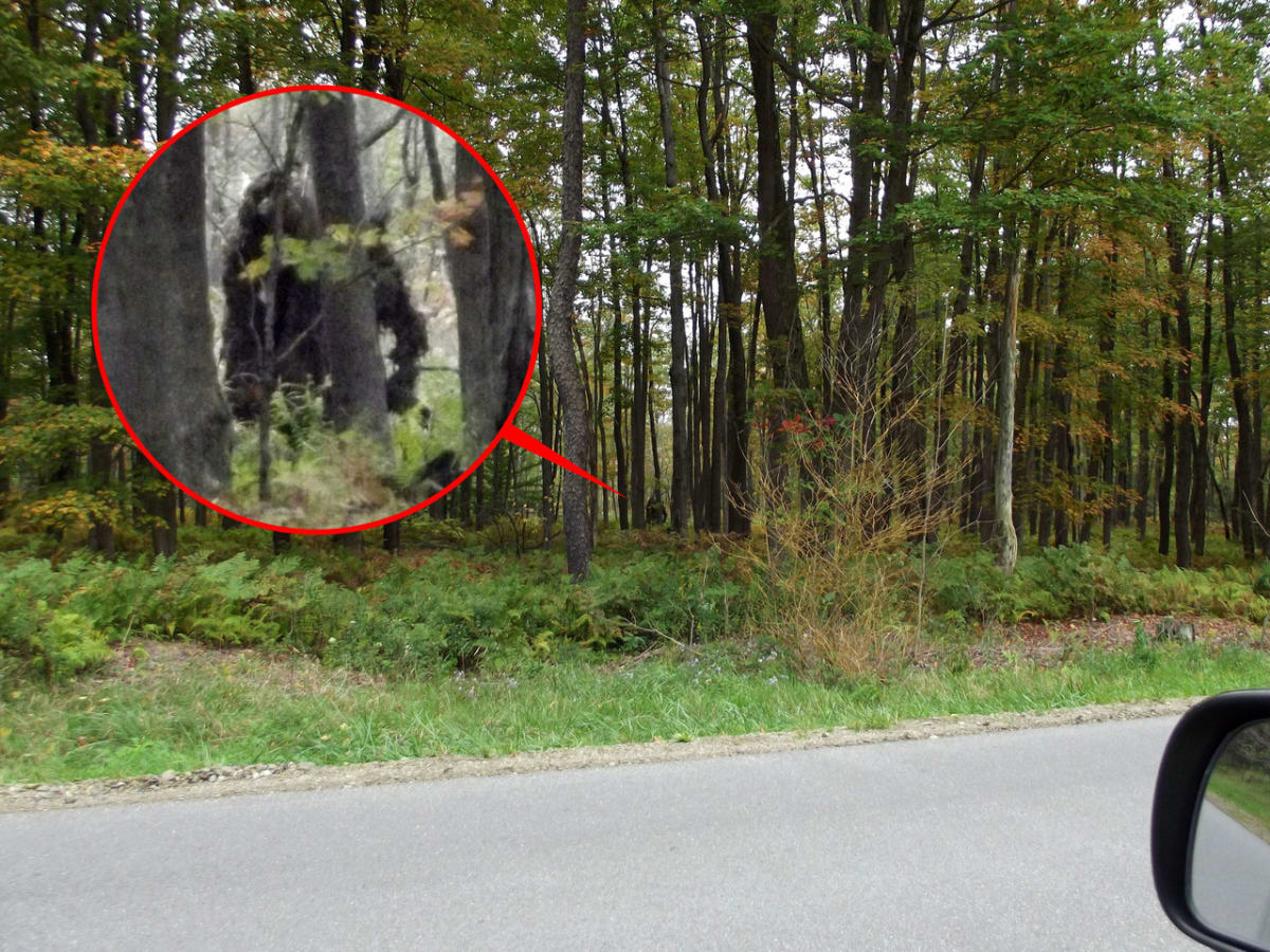 bigfoot-spotted-in-pennsylvfeature