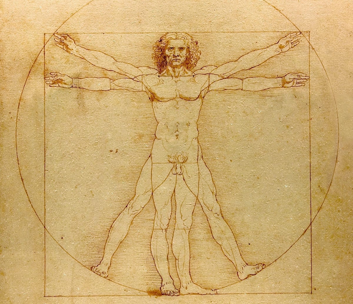 Lidské proporce Leonarda da Vinciho