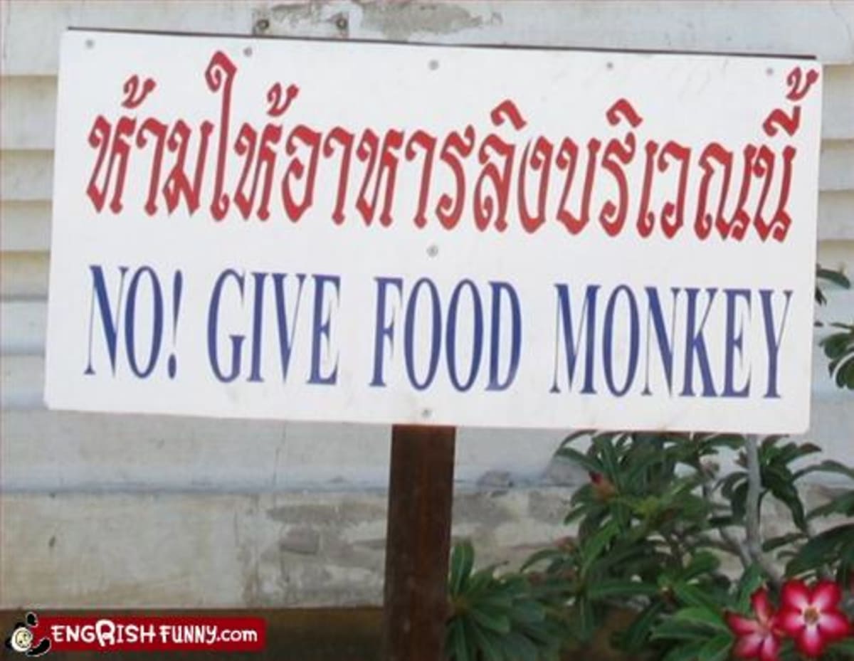 OK, tak tenhle překlad nevyšel. "Ne! Krmte naše opice!"
