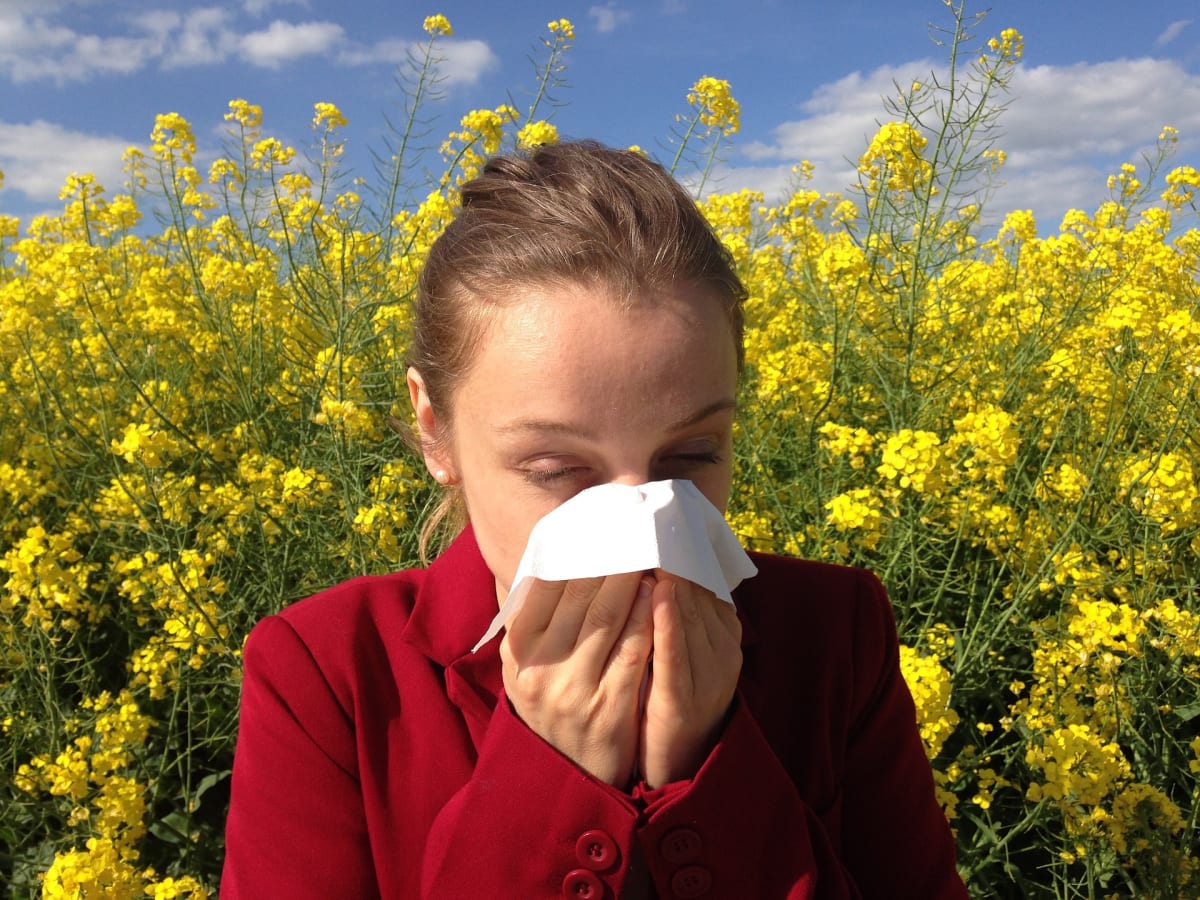 Trpíte alergií?
