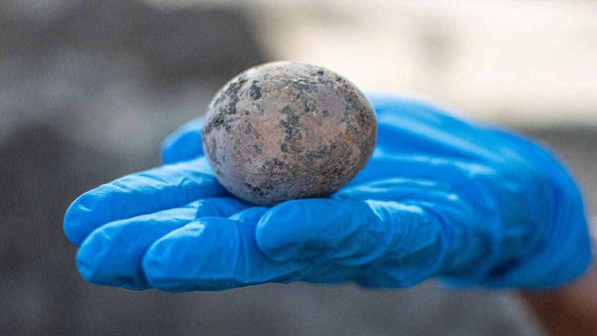 Izraelští vědci považují nález 1000 let starého vejce za unikátní