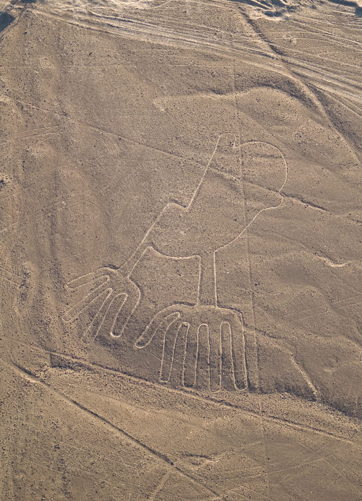Obrazce na planině Nazca - Obrázek 4