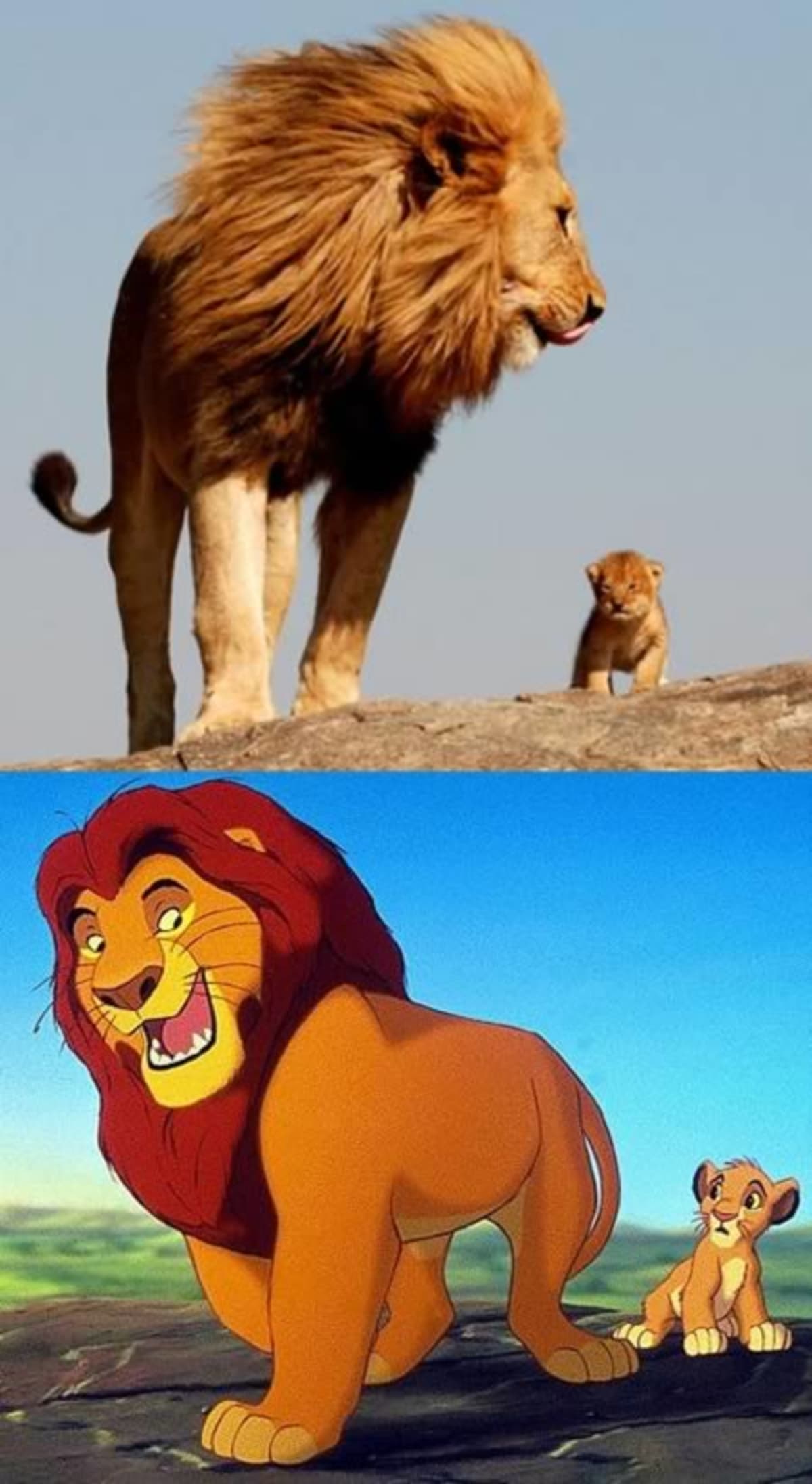A teď do světa zvířat...dvojníky má i Lví král.