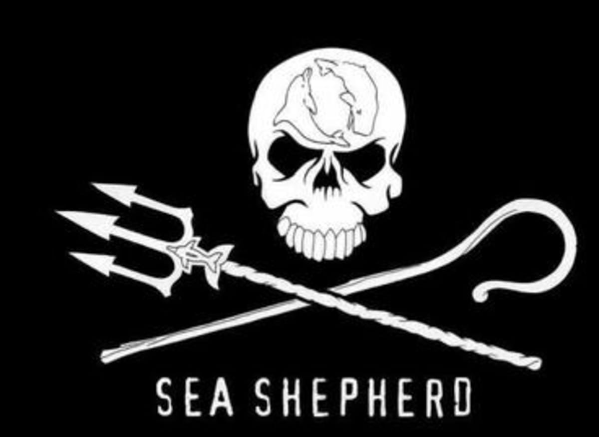 vlajka Sea Shepherd