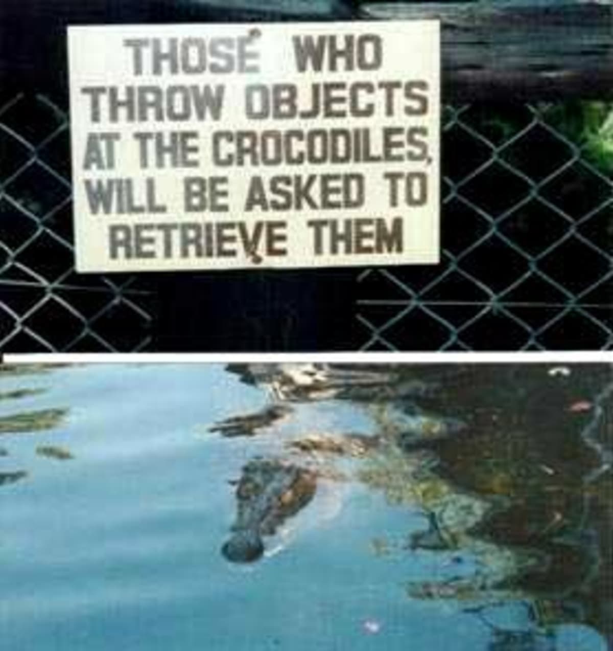 "Ti, kdo hážou věci ke krokodýlům, je budou muset zase vyndat ven," neznámá americká zoo