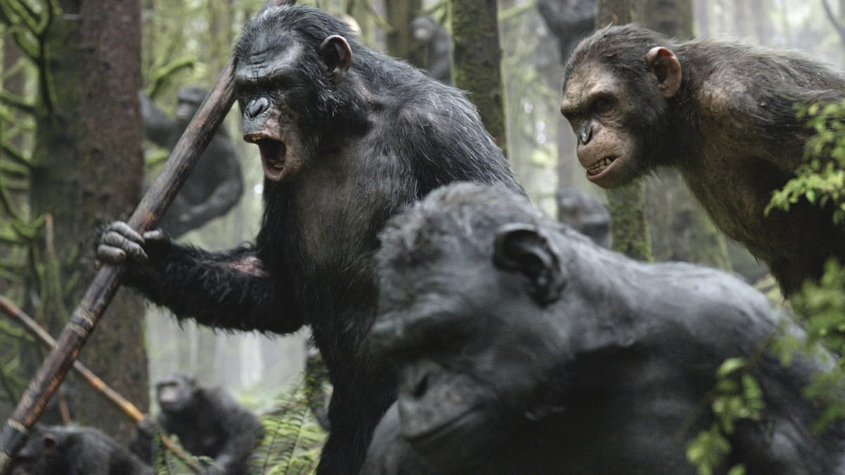 Fotka z filmu Úsvit planety opic