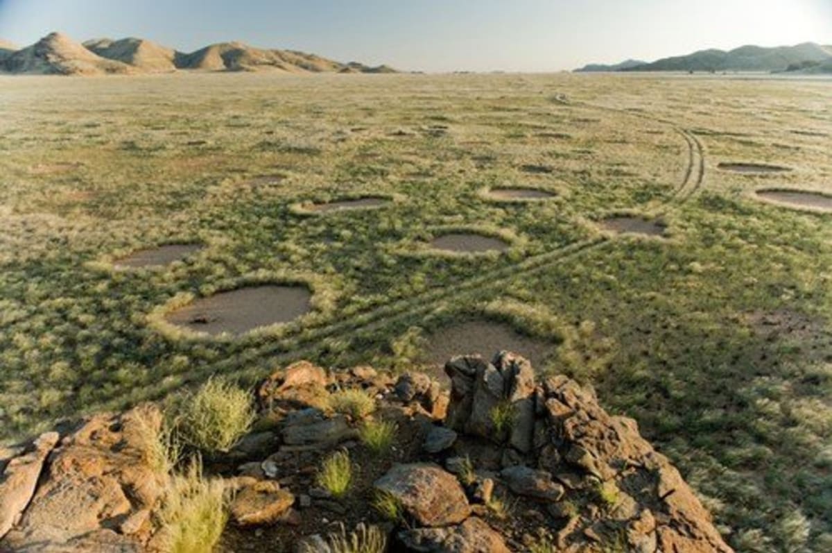 Kruhy v Namibii dosud nedokázal nikdo spolehlivě vysvětlit
