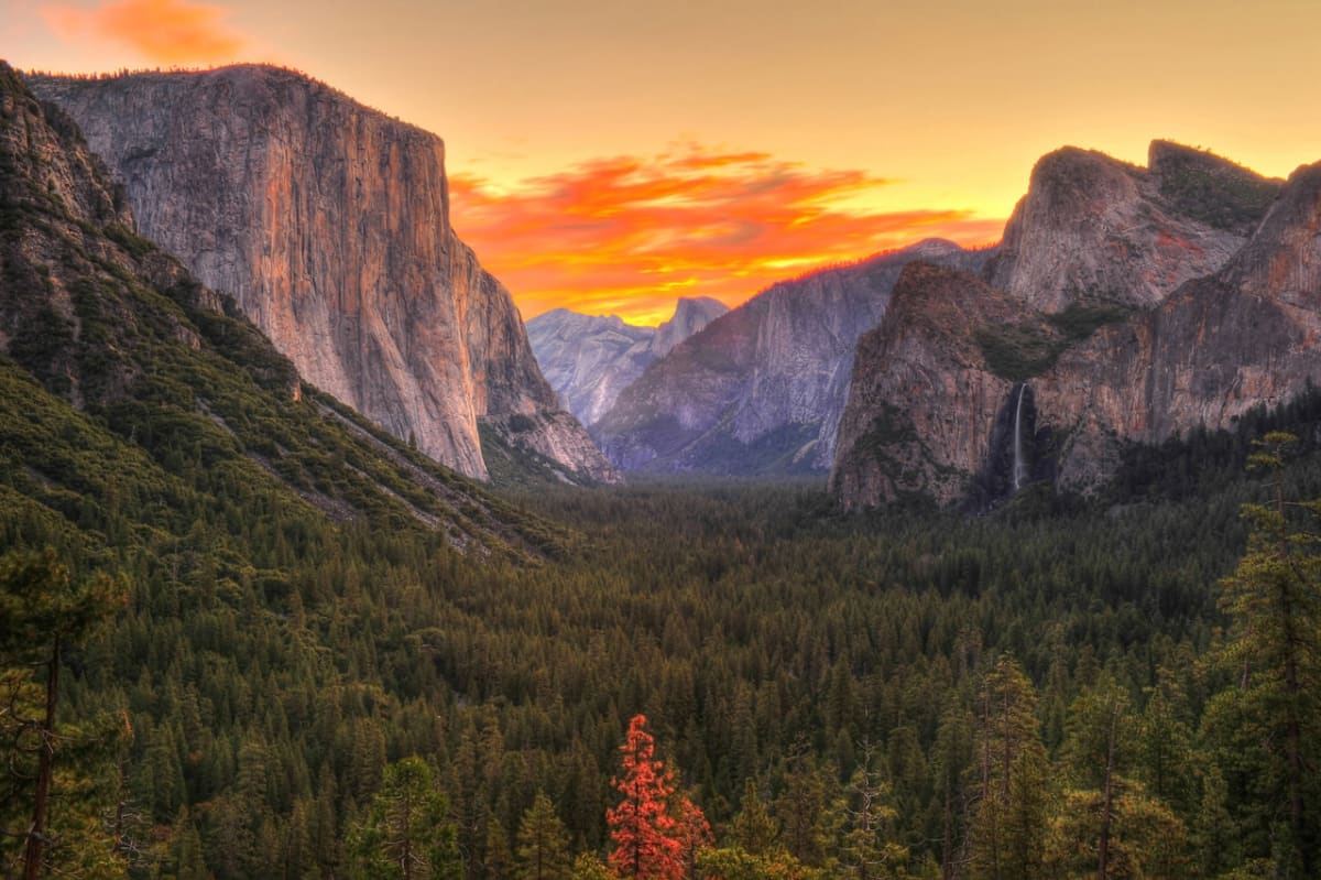 Yosemitský národní park - Obrázek 3