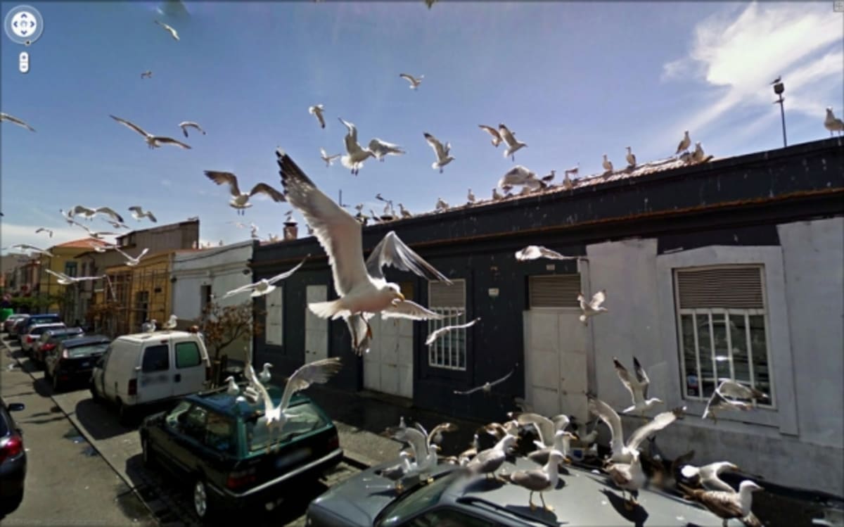 Situace na Street View podle 9-Eyes - Obrázek 2