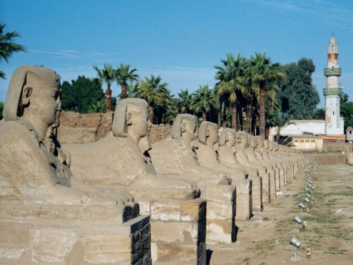 K Amonově chrámu v Karnaku vede cesta lemovaná sfingami, které mají na lvím těle beraní hlavy