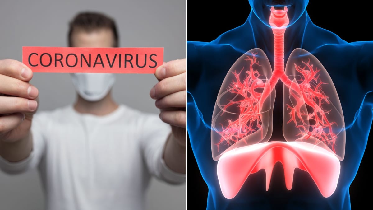 Nemoc COVID-19 útočí hlavně na plíce.