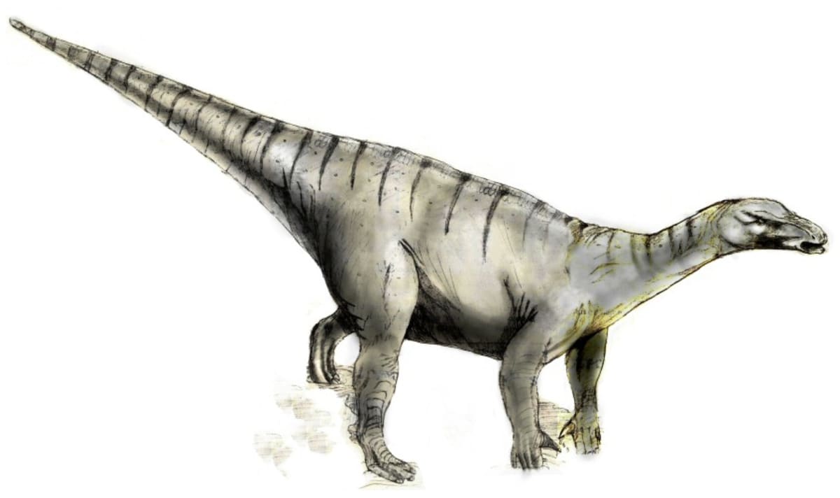 kresba dinosaura druhu Iguanodon bernissartensis