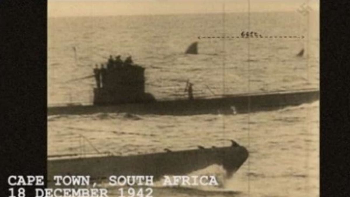Megalodon mezi ponorkami?