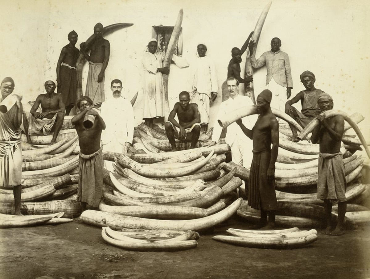 Obchodování se slonovinou ve Východní Africe na konci 19. století