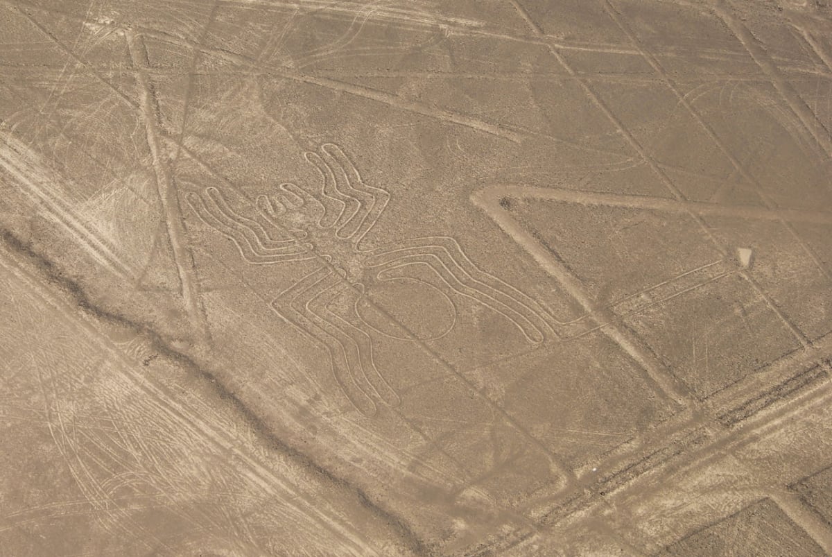 Obrazce na planině Nazca - Obrázek 8