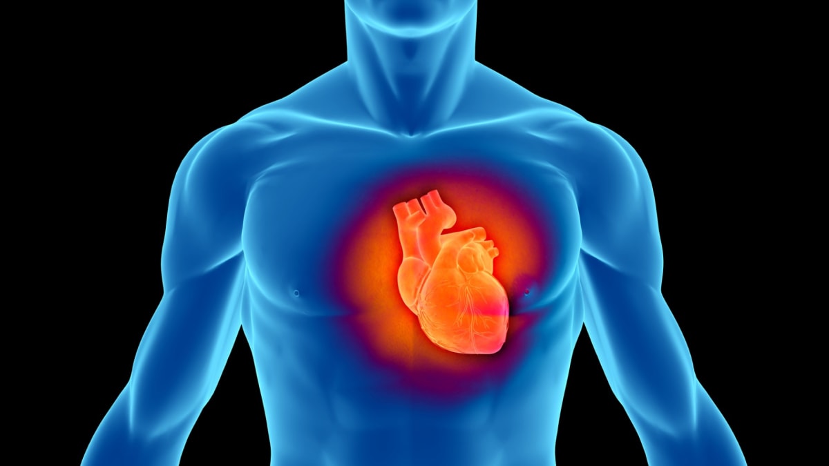 Konec srdeční činnosti je klíčovým měřítkem pro určení smrti.