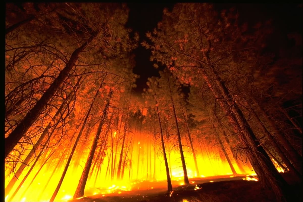 Lesní požár může zachvátit jak Kalifornii, tak Sibiř. A klima tomu čím dál více napomáhá