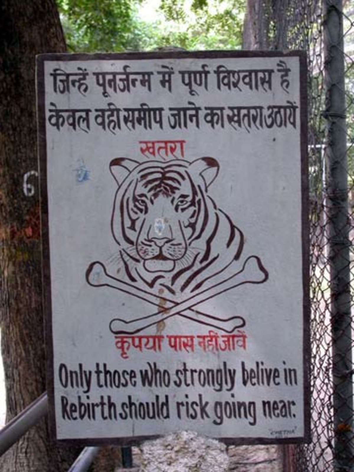 Geniální varování: "K tygrům by se měli přibližovat jen ti, kdo věří v reinkarnaci"