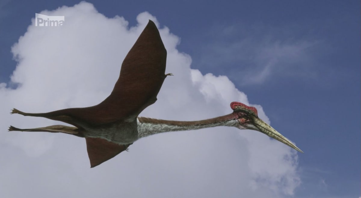 Quetzalcoatlus měl rozpětí 15 metrů a připomínal létající žirafu