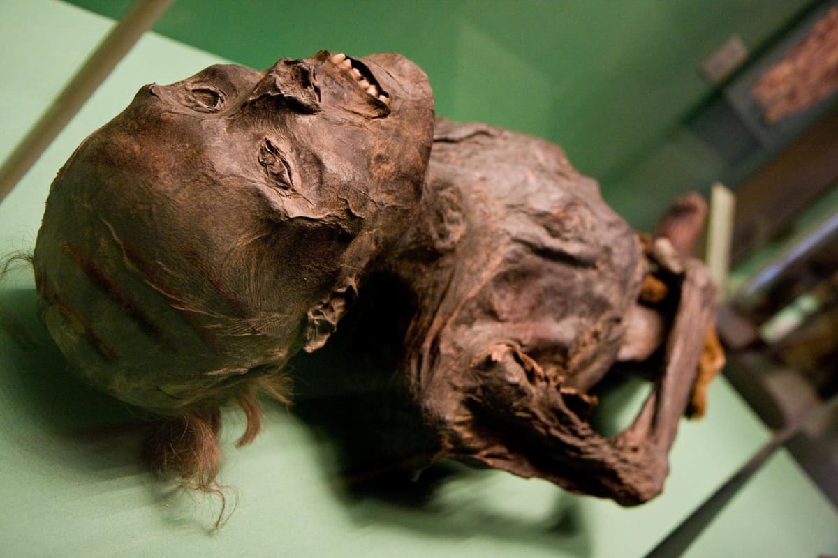 Mumie z Ermitáže