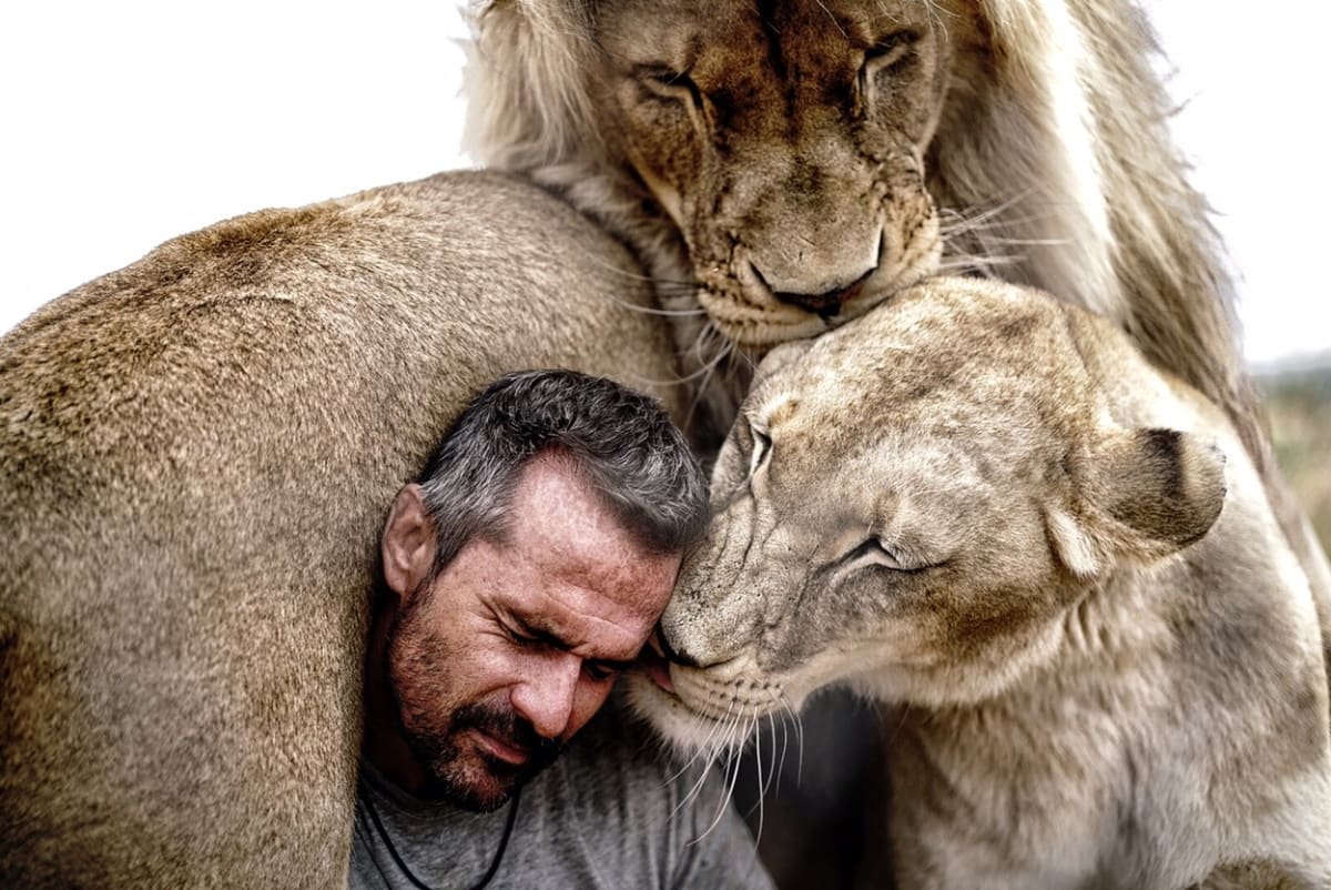 Odborník na chování zvířat Kevin Richardson a fotograf Adrian Steirn se dali dohromady.