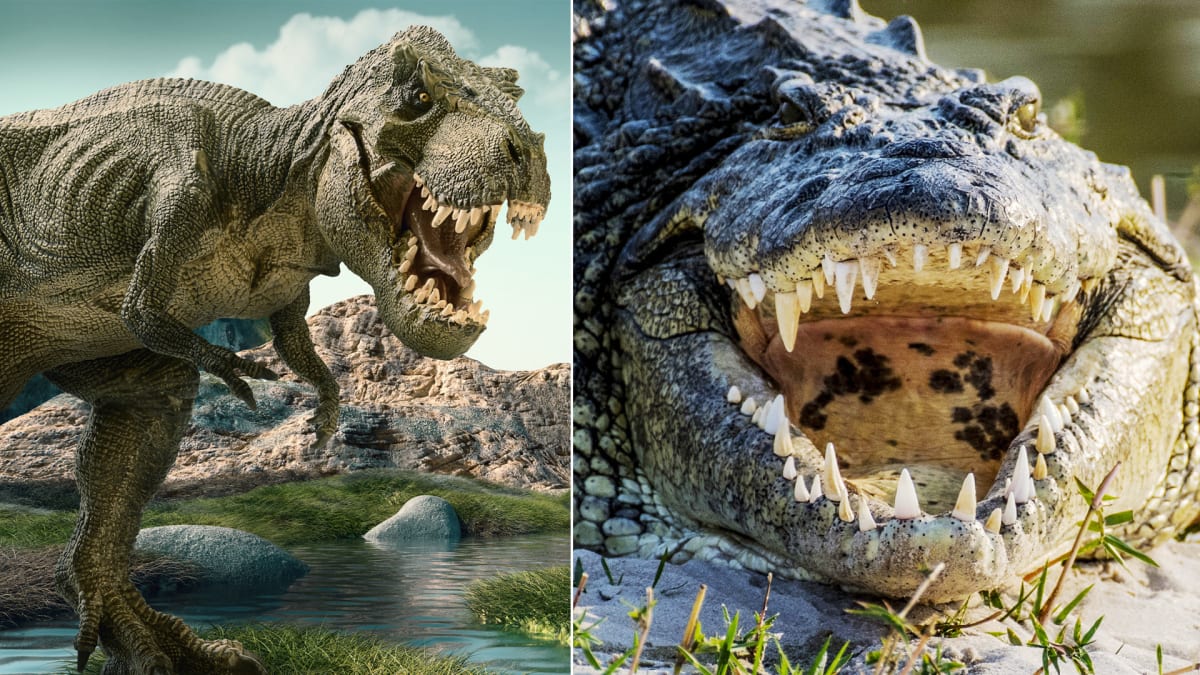 Pravěký krokodýl měl docela blízko Tyrannosaurovi