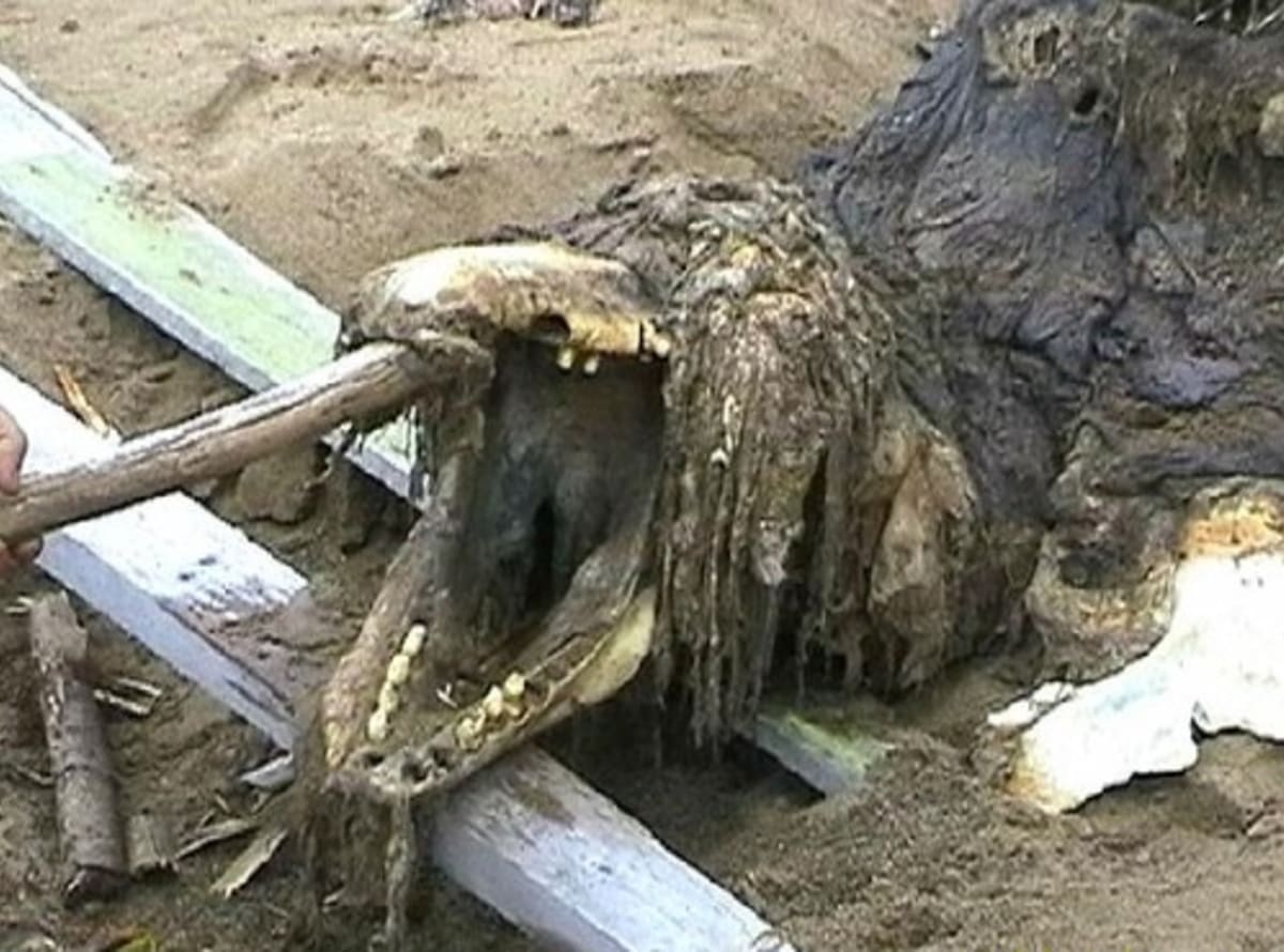 Záhadná mrtvola z Ruska - Obrázek 1