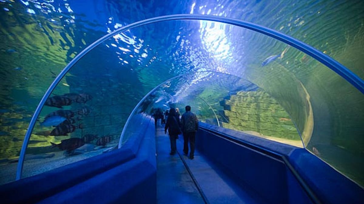 Největší a nejkrásnější akvária světa 