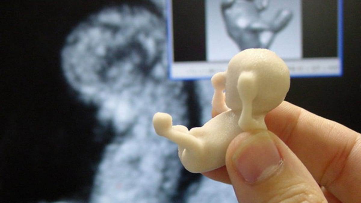 3D figurka embrya