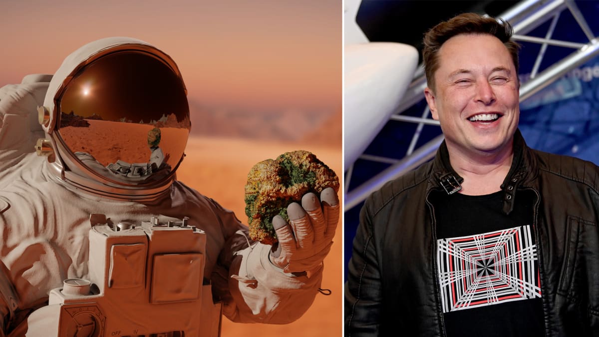 Stane se Elon Musk dobyvatelem Marsu?