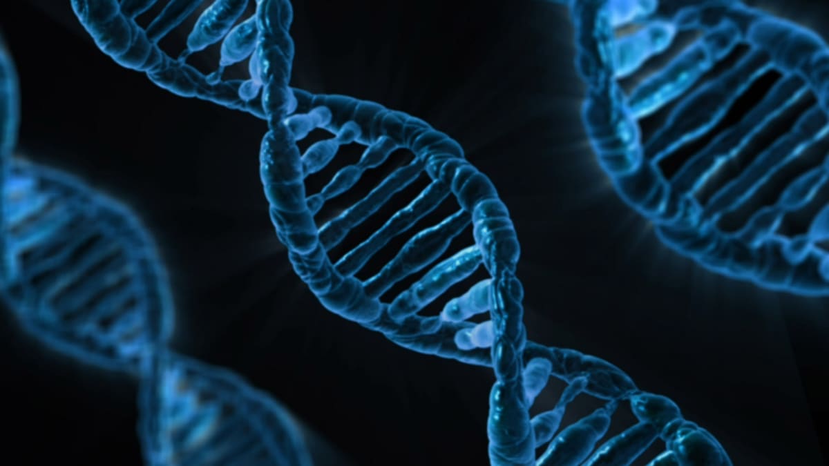 Dvoušroubovice DNA