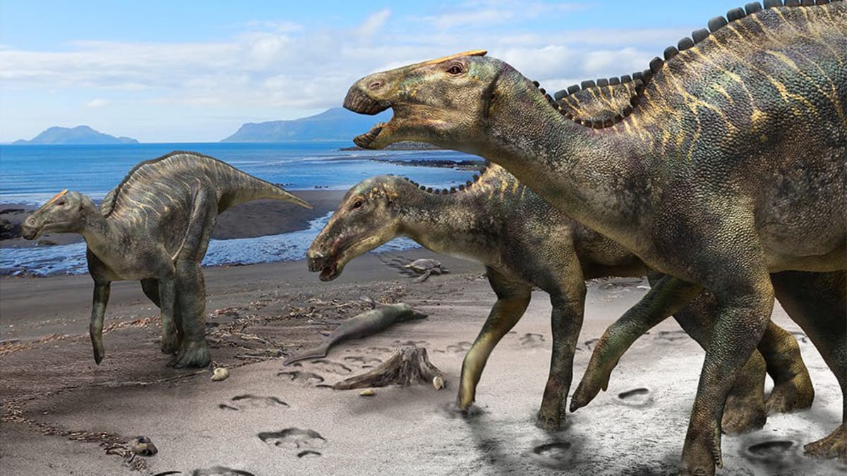 Hypotetická ekologická scéna se zástupci rodu Kamuysaurus.