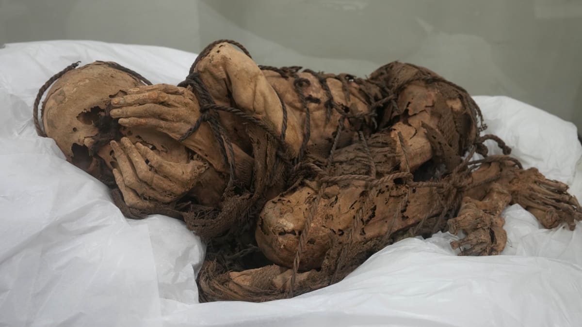 Mumie Peru 2