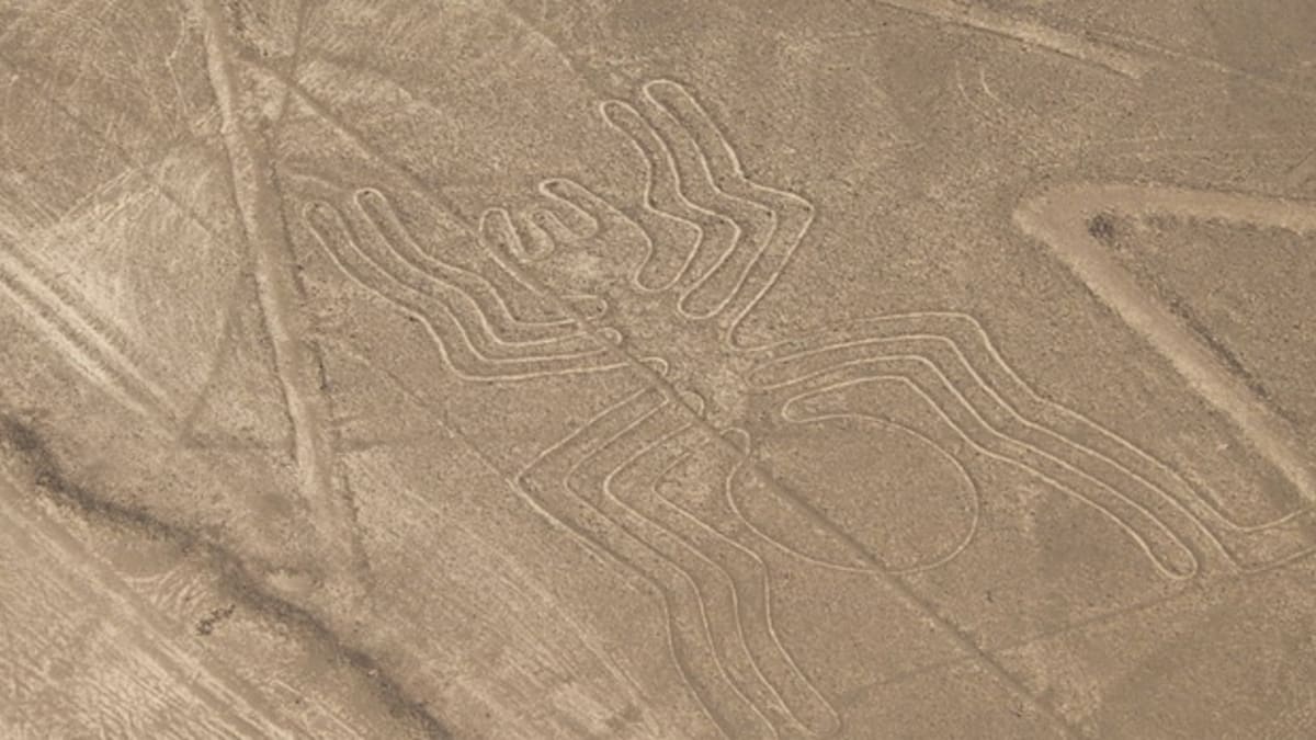 Pavouk na planině Nazca