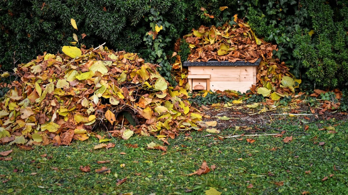 Ježkům stačí k úkrytu kupka listí, můžete jim ale pomoci speciálním domečkem.