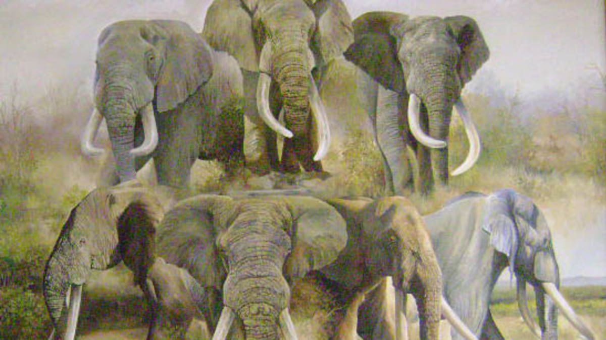 Sedm sloních statečných