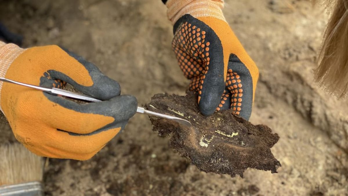 Archeologové těla identifikovali pomocí osobních předmětů