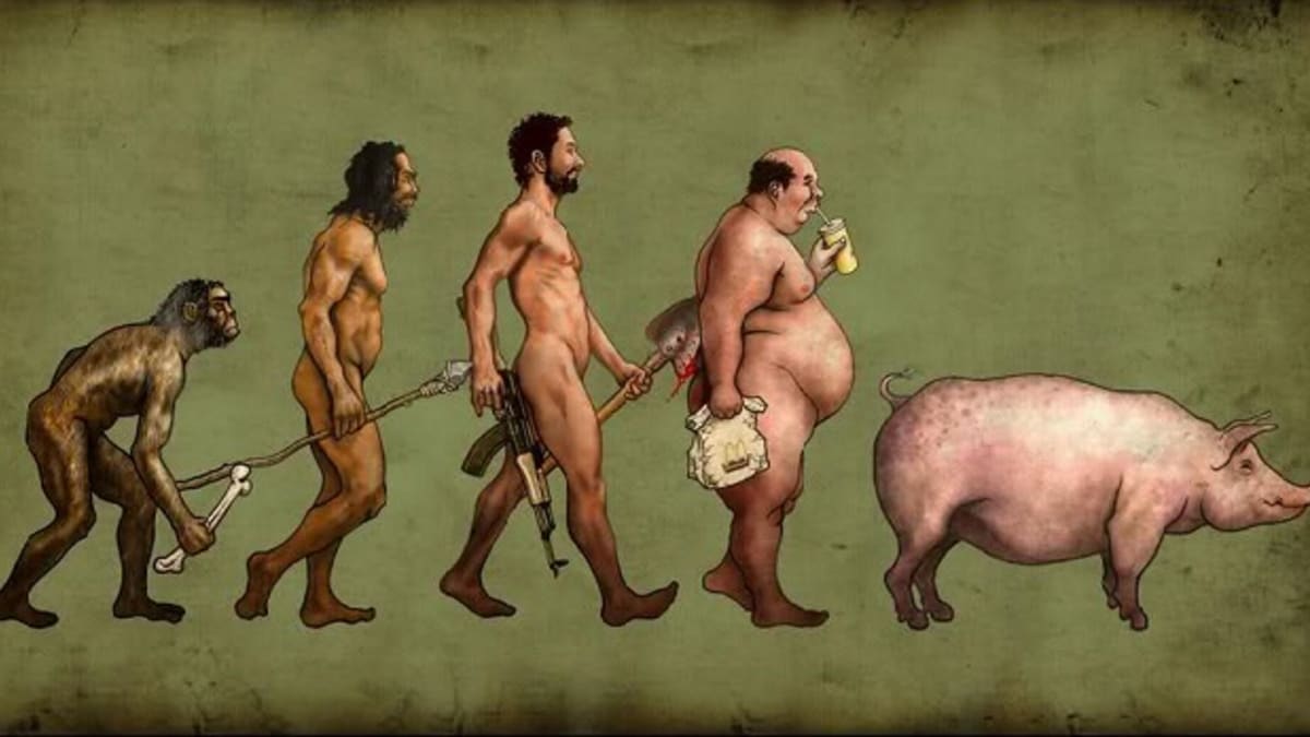 Evoluce muže